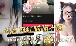 陕西高校美女下海裸聊视频流出