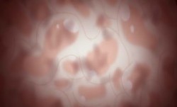 いもうとビッチに搾れたい2-ImoutoBitchniShiboraretai2