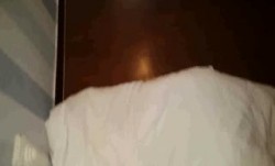 极品爆乳完美身材骚浪小情人全裸激情做爱跪舔J8用嘴带套套爆乳圆挺多姿势爆操最后口爆高清720P完整版