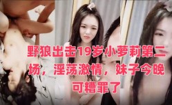 野狼出击19岁小萝莉第二场，淫荡激情，妹子今晚可糟罪了