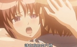 中文字幕学校训练的建议