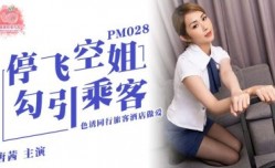 PM028停飞空姐勾引乘客-唐茜
