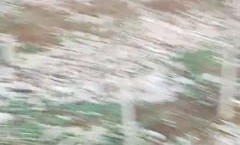 小树林里的龌龊事，老大爷被骚逼勾引活都不干了，尝试了一下什么叫口口，这鸡巴还能硬跟小哥玩起了3P带劲