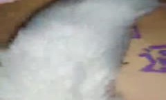 双马尾萌妹子跪着玩弄第三部 屁股上写字肛塞插菊花跳蛋震动来姨妈了 很是诱惑喜欢不要错过