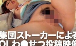 393OTIM-269 集団ストーカーによるOLわ●せつ投稿映像 まりあ
