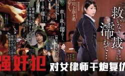 解说-强奸案受害人的救赎之路1.