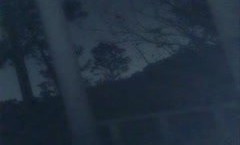 小可爱平台(原卡哇伊)风骚御姐户外小骚货1108大半夜勾搭打炮直接户外口-交啪啪十分淫荡