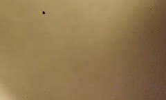 12.18【真实探花学生妹】