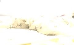 颜值不错大奶妹子【香蕉妹妹】道具自慰性感网袜，舔假屌跳蛋塞入拉扯非常诱人，很是诱惑喜欢不要错过