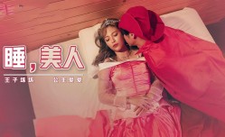 XSJ007 睡美人 王子坏坏 公主爱爱 坏坏