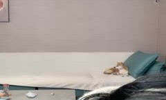 安全的港湾-糖纸妹妹- 看似清纯、实则骚到骨子、内裤一脱就不装了，骚声震天！