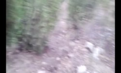 云盘泄密-外貌白皙清纯骨子淫骚的大学美女和男友出租屋各种肏操后又到郊区树林里野战后人啪啪,屁股真性感!