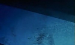 無人島物語XX4-MujintouMonogatariXX4